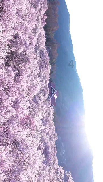 白带发黄什么原因？能自己检测是不是阴道炎吗？游戏画面