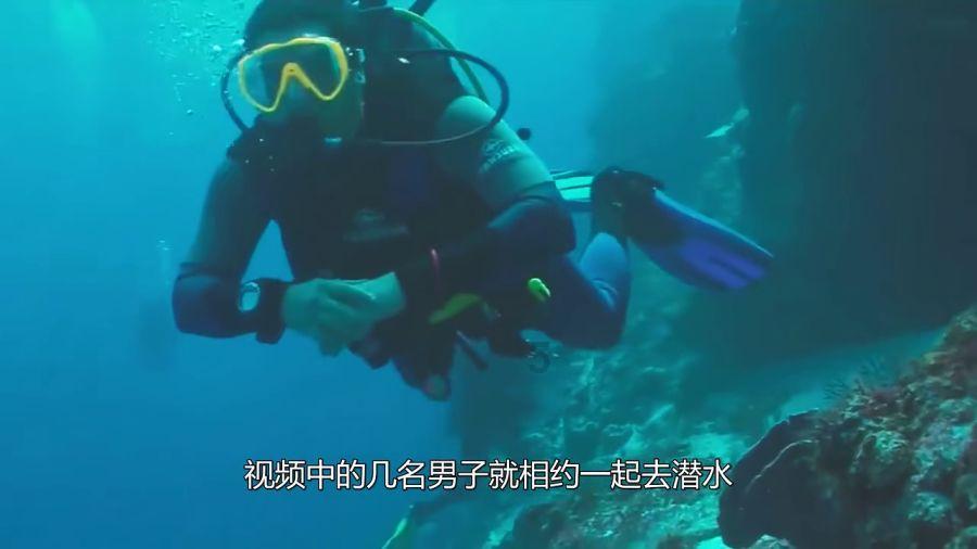 探探猫之飞天萌猫
