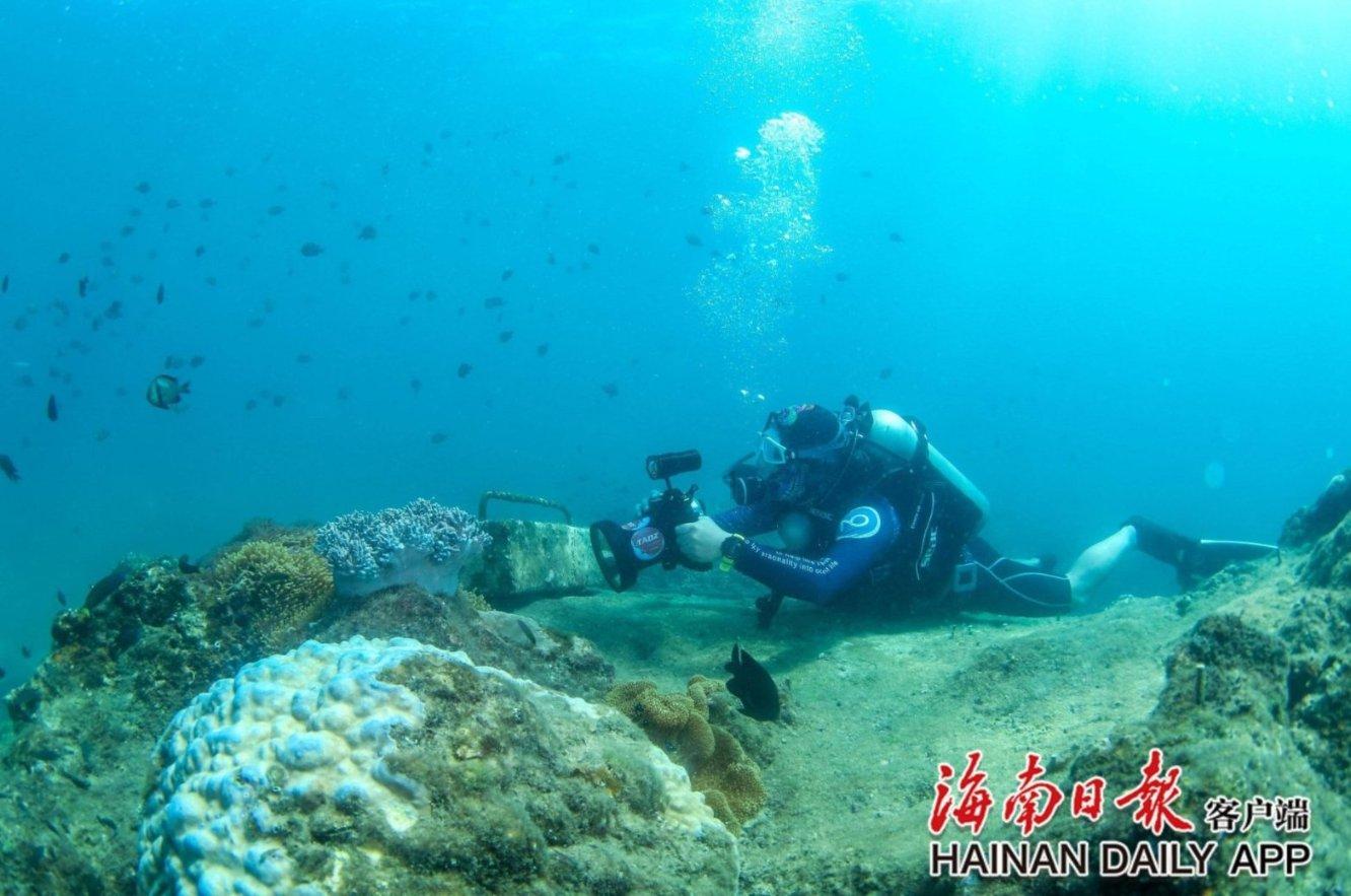 新超西游记