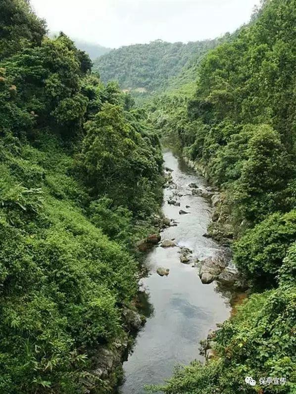 人大制度的组织和活动原则是游戏画面